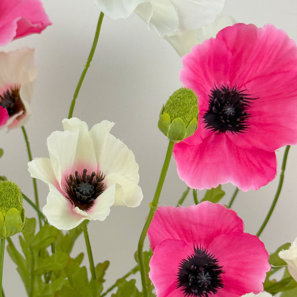 Bouquet Poppy Rose