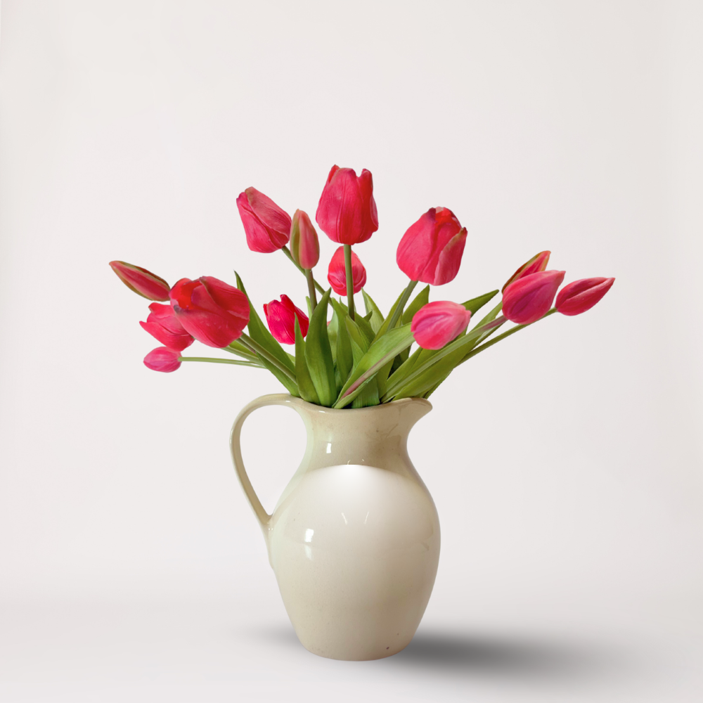 Tulipe Fuchsia (7st.)