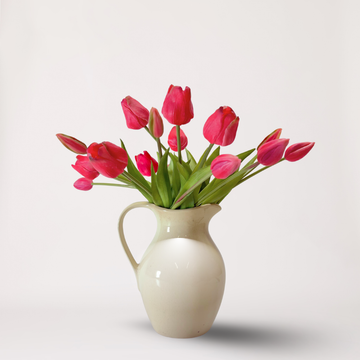 Tulipe Fuchsia (7st.)