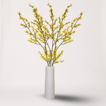 Forsythia