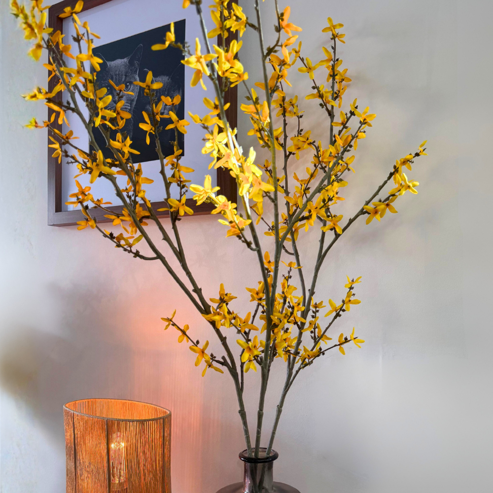 Forsythia