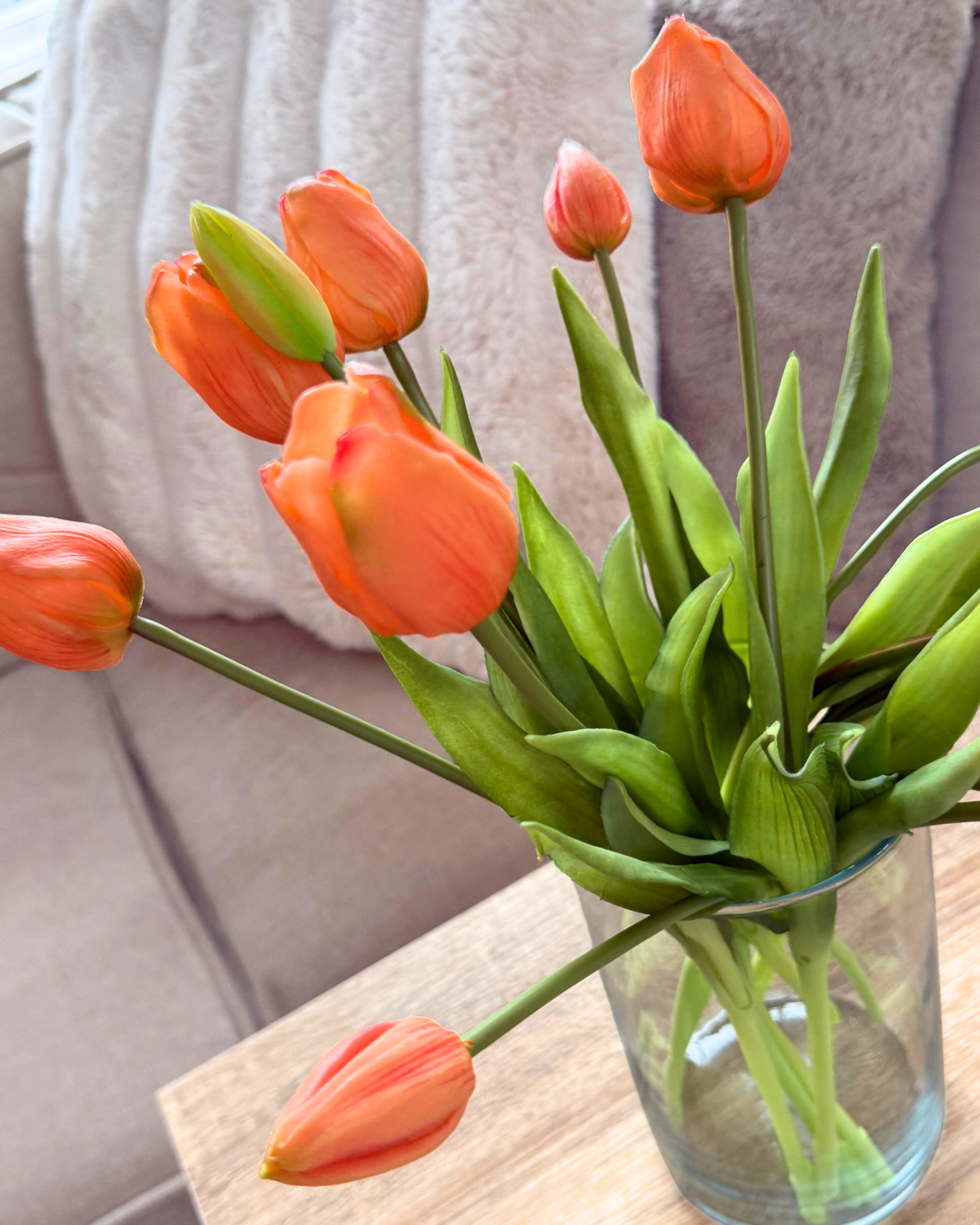 Tulipe Orange (7st.)