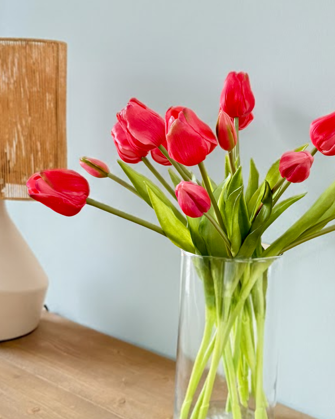 Tulipe Fuchsia (7st.)