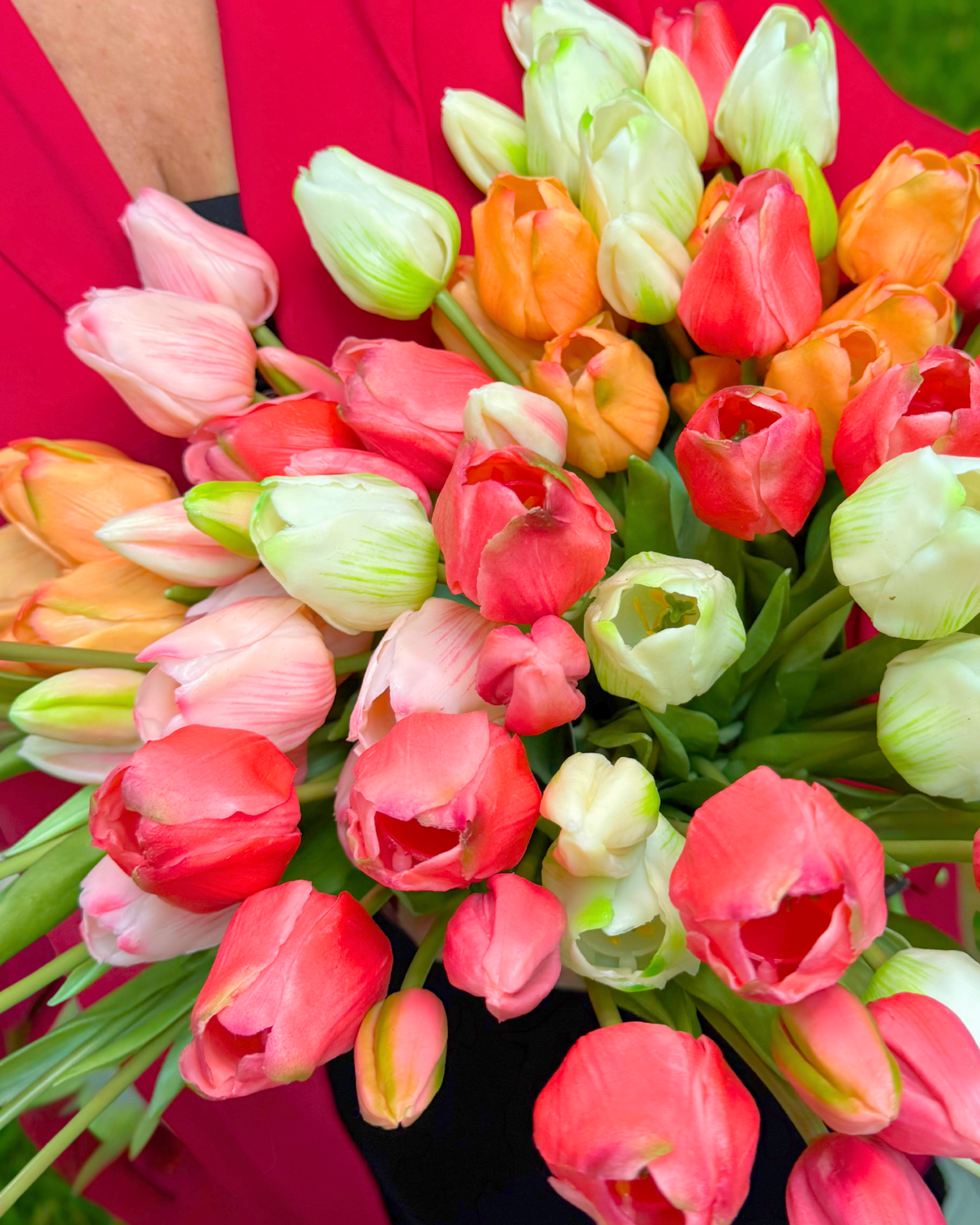 Tulipe Orange (7st.)