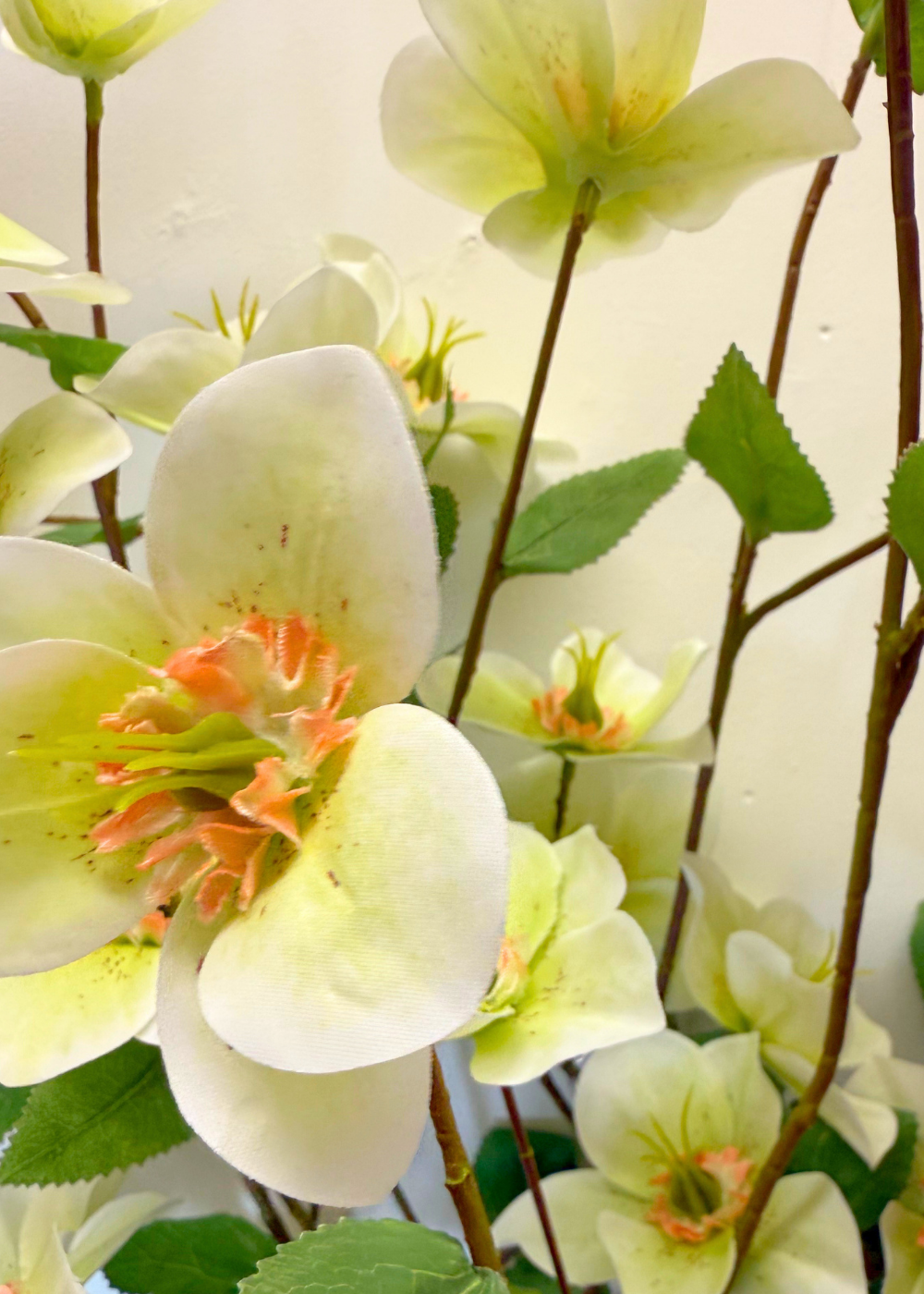 Bouquet Helleborus