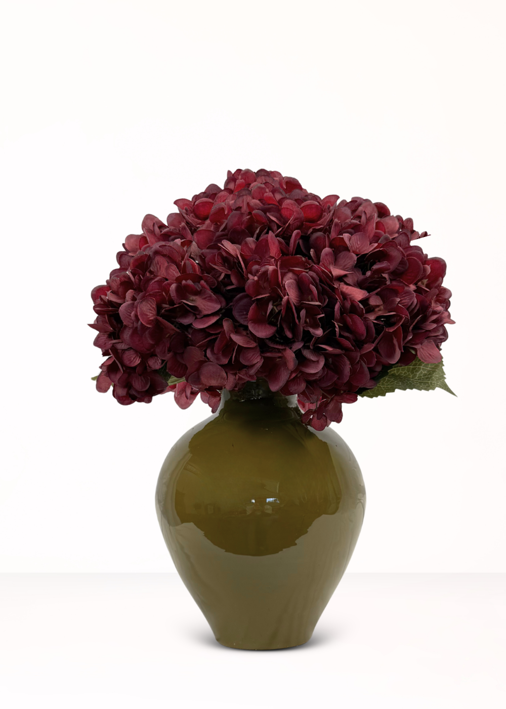 Hortensia Burgundy