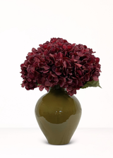 Hortensia Burgundy (per tak)