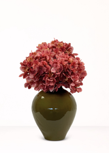Hortensia Oud Roze (per tak)